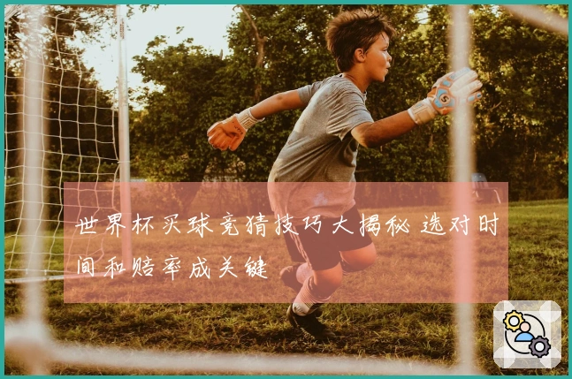 世界杯买球竞猜技巧大揭秘 选对时间和赔率成关键