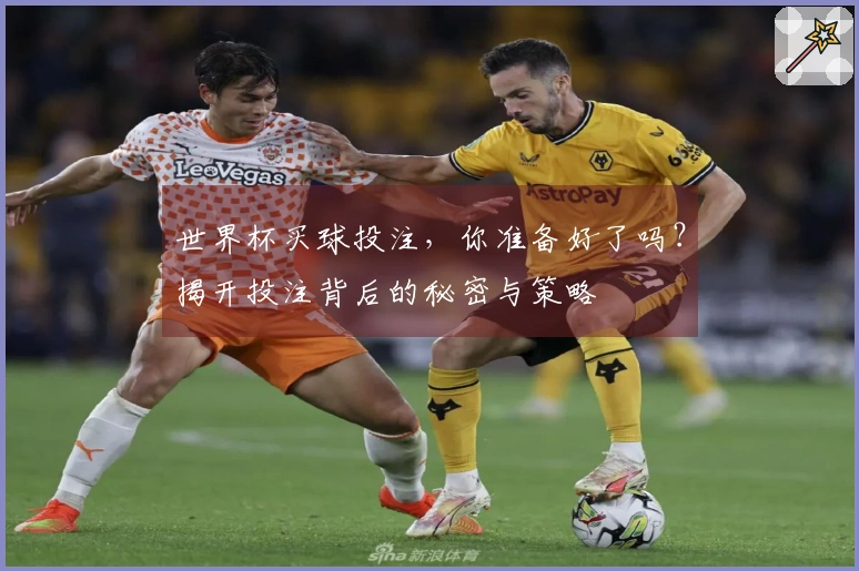 世界杯买球投注，你准备好了吗？揭开投注背后的秘密与策略