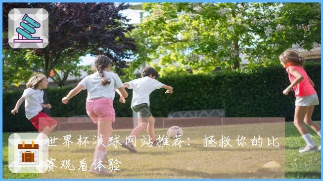 世界杯滚球网站推荐：拯救你的比赛观看体验