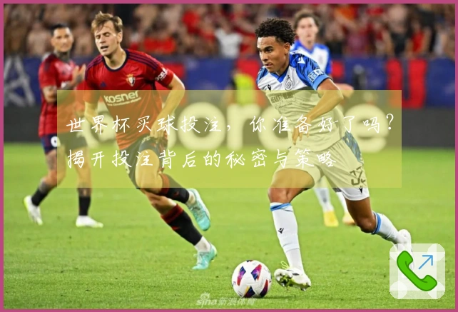 世界杯买球投注，你准备好了吗？揭开投注背后的秘密与策略