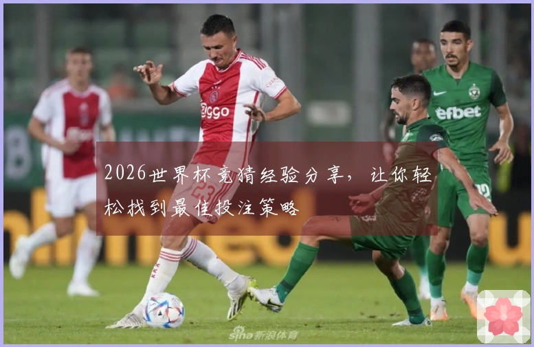 2026世界杯竞猜经验分享，让你轻松找到最佳投注策略