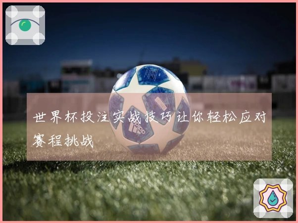 世界杯投注实战技巧让你轻松应对赛程挑战